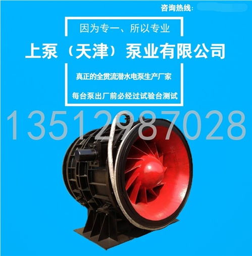 個(gè)舊大流量取水全貫流泵定制廠家推薦與臥式全貫流泵解析